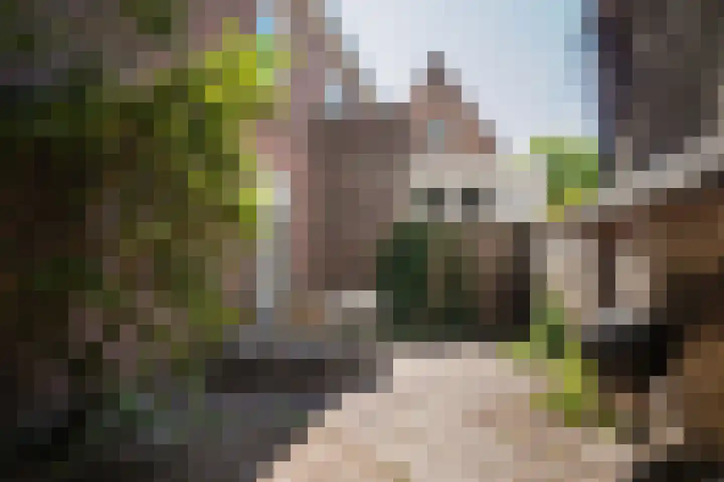 Prins Bernhardstraat 5 's-Hertogenbosch thumbnail 46