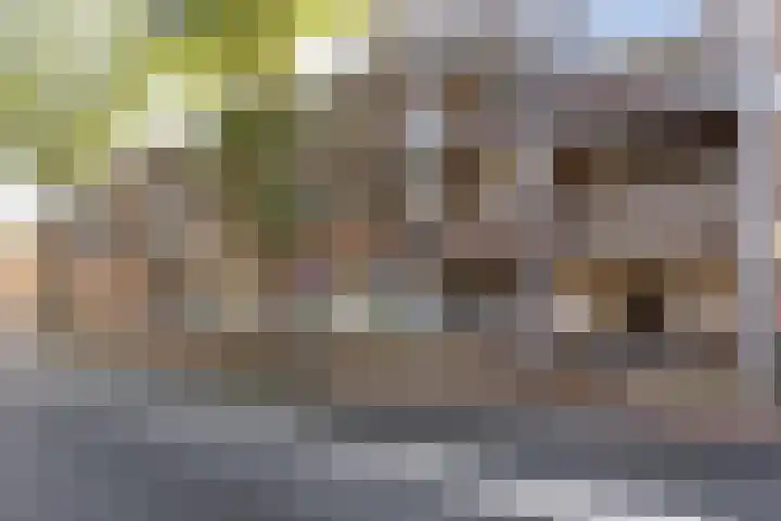 Prins Bernhardstraat 50 Hilversum thumbnail 22