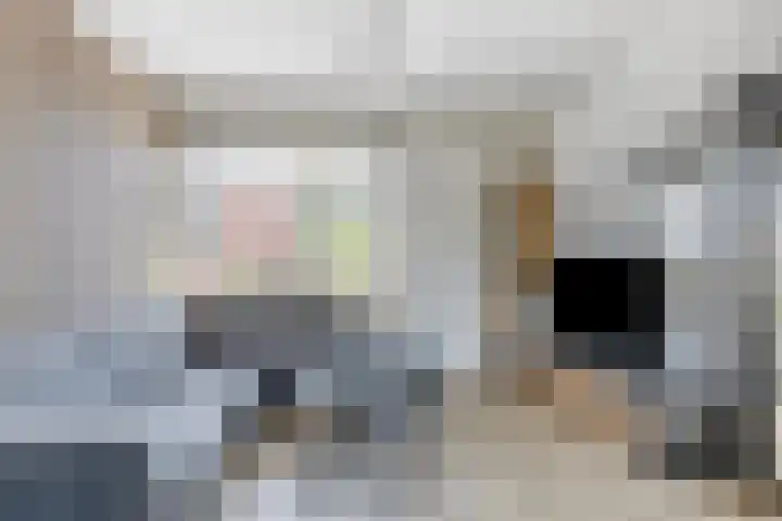 Prins Bernhardstraat 50 Zoutkamp thumbnail 12