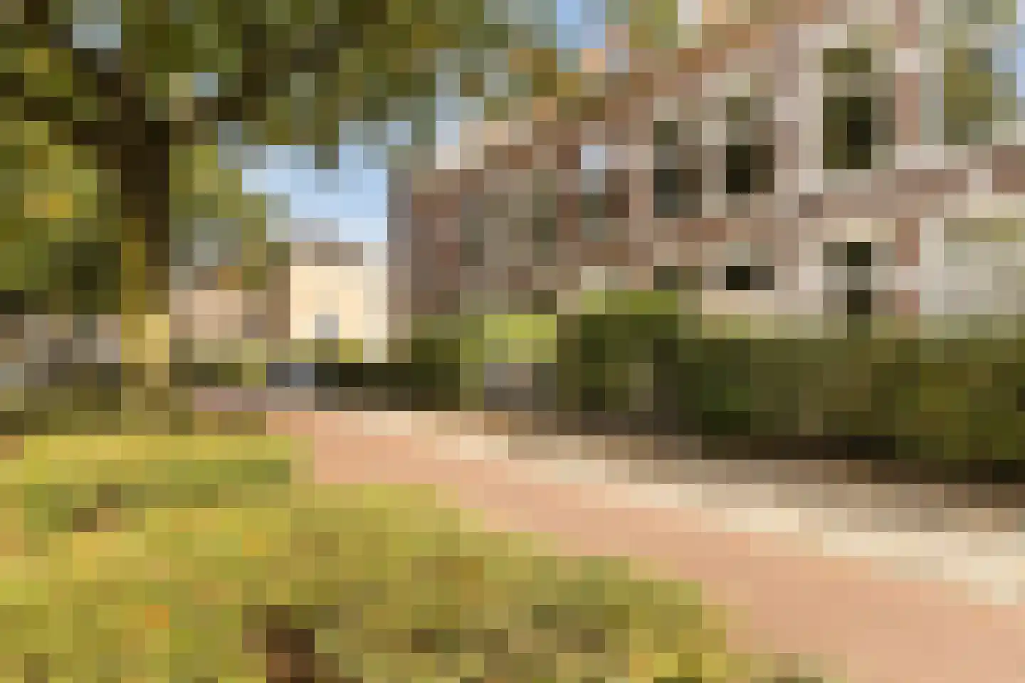 Prins Bernhardstraat 53 A Nijmegen thumbnail 7
