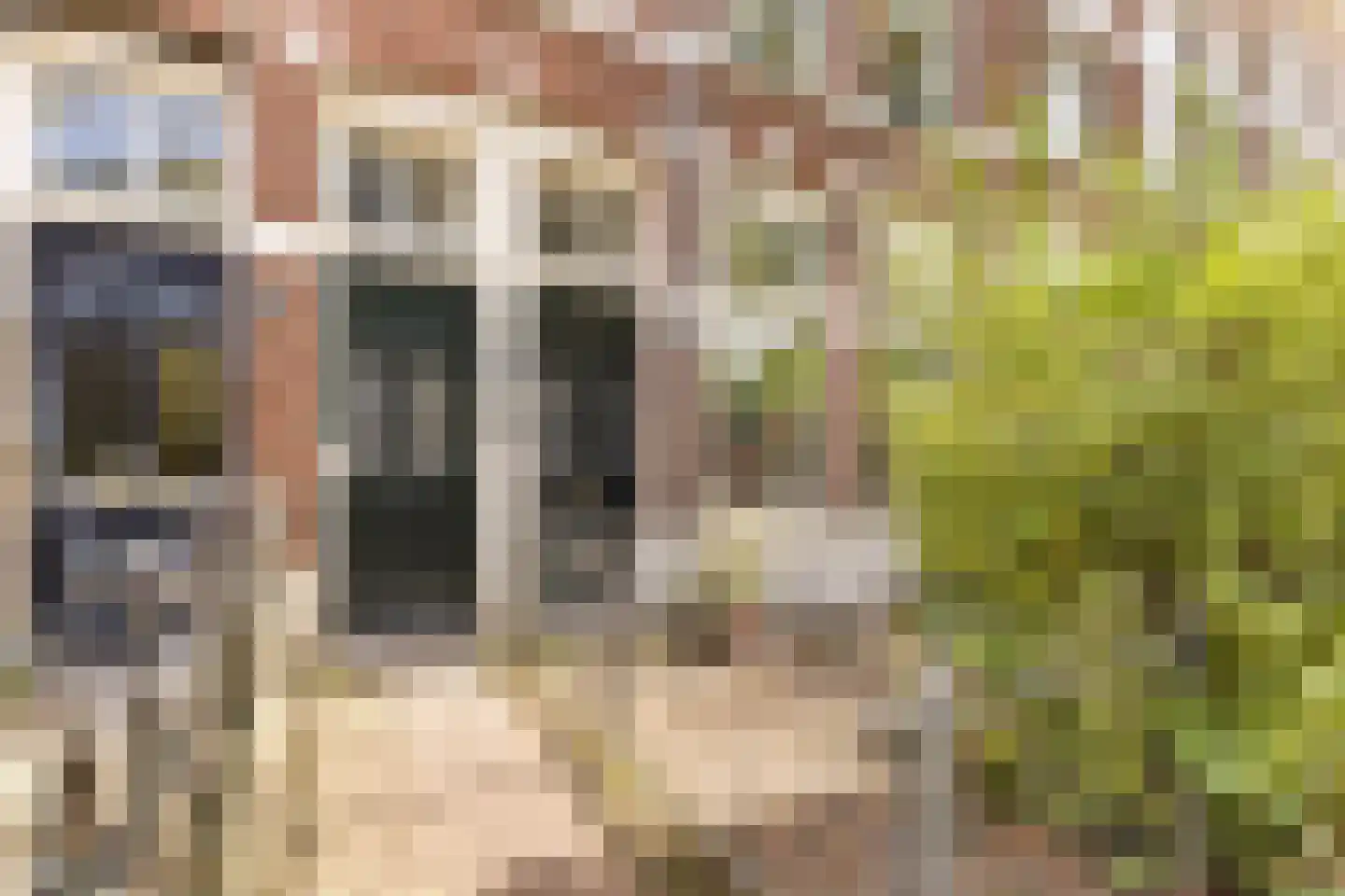 Prins Bernhardstraat 53 A Nijmegen thumbnail 8