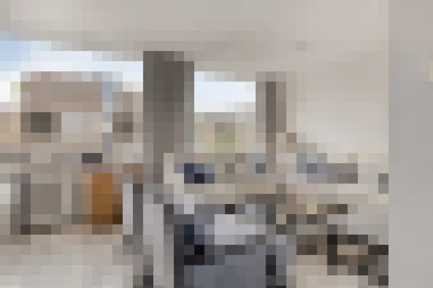 Prins Bernhardstraat 54 A Koudekerk aan den Rijn thumbnail 10
