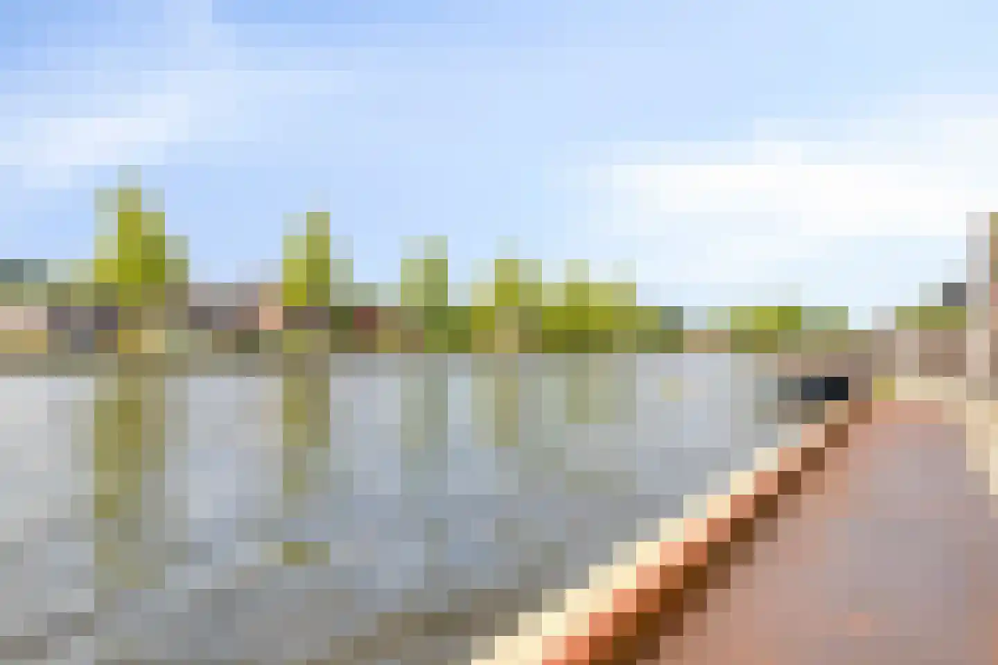 Prins Bernhardstraat 54 A Koudekerk aan den Rijn thumbnail 28