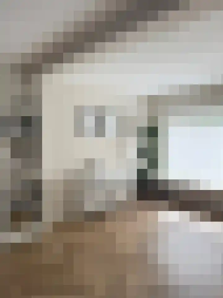 Prins Bernhardstraat 54 Zwolle thumbnail 5