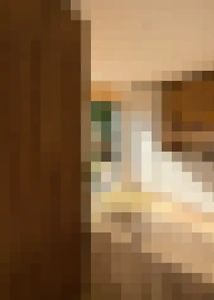 Prins Bernhardstraat 54 Zwolle thumbnail 54
