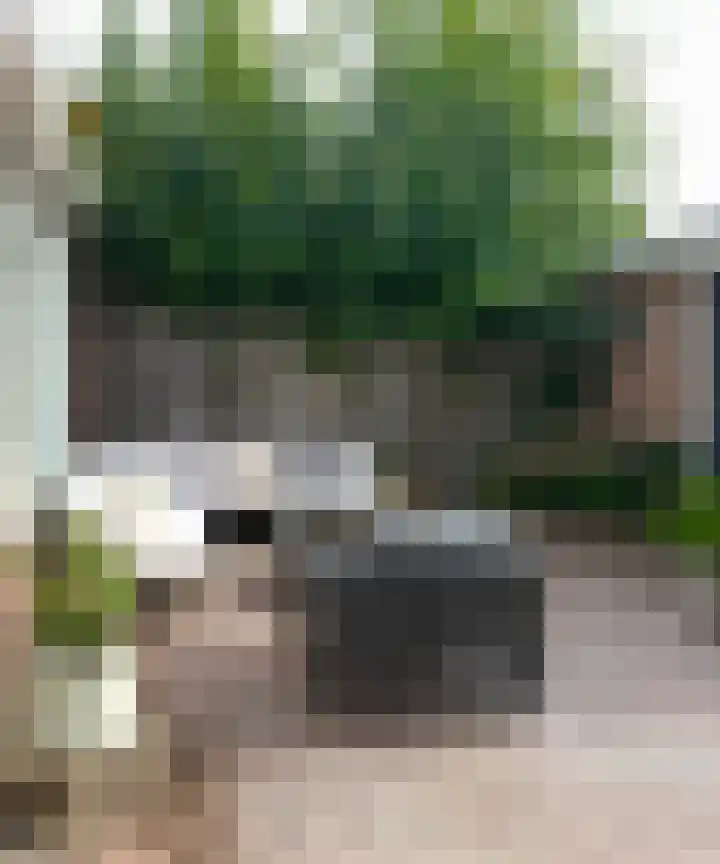 Prins Bernhardstraat 54 Zwolle thumbnail 74