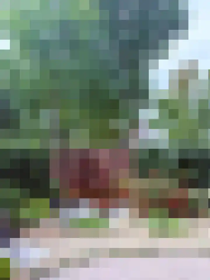 Prins Bernhardstraat 54 Zwolle thumbnail 79
