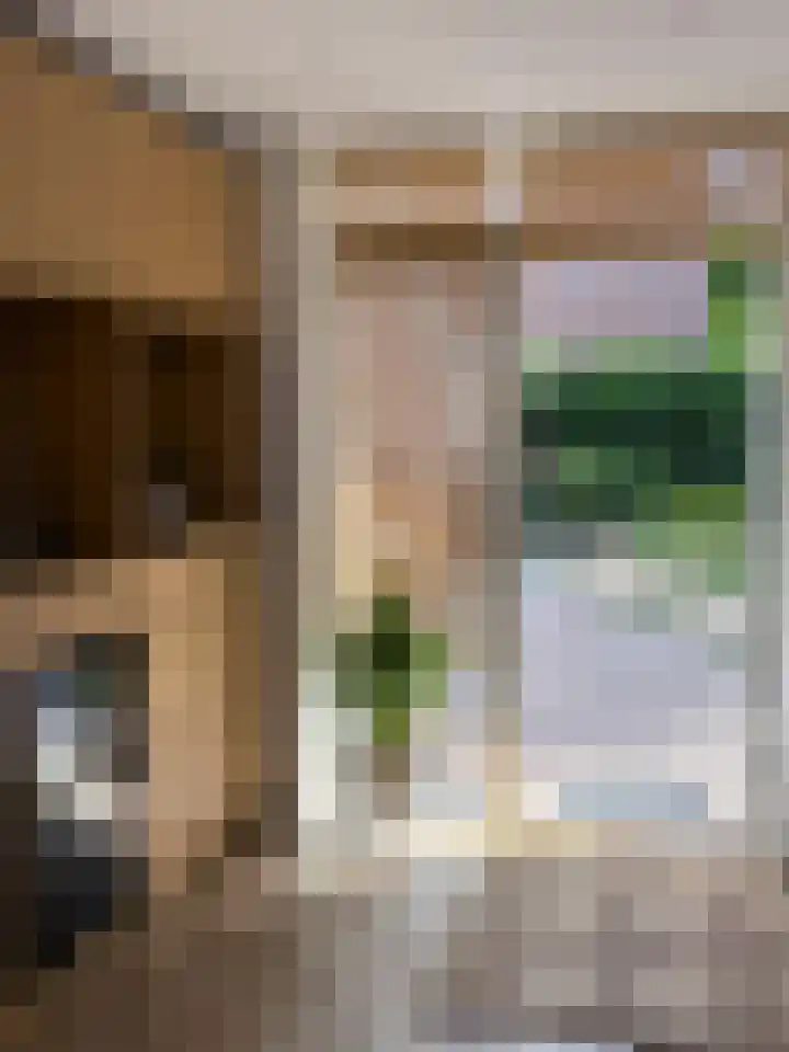 Prins Bernhardstraat 54 Zwolle thumbnail 8