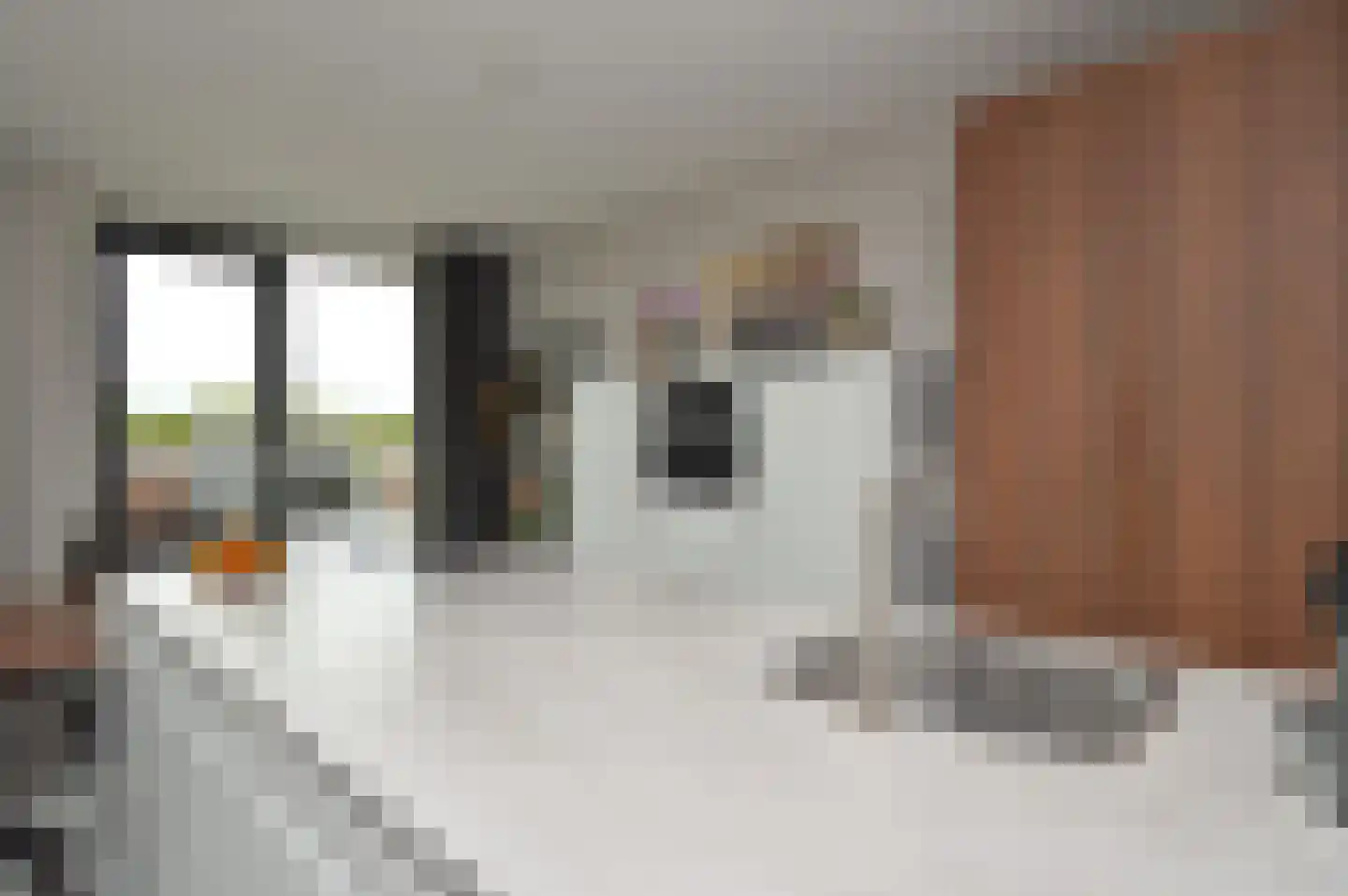 Prins Bernhardstraat 56 a Asten thumbnail 9