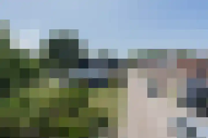 Prins Bernhardstraat 56 Wolphaartsdijk thumbnail 5