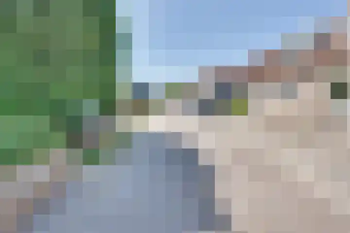Prins Bernhardstraat 56 Wolphaartsdijk thumbnail 6