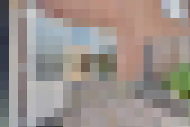 Prins Bernhardstraat 56 Wolphaartsdijk thumbnail 8