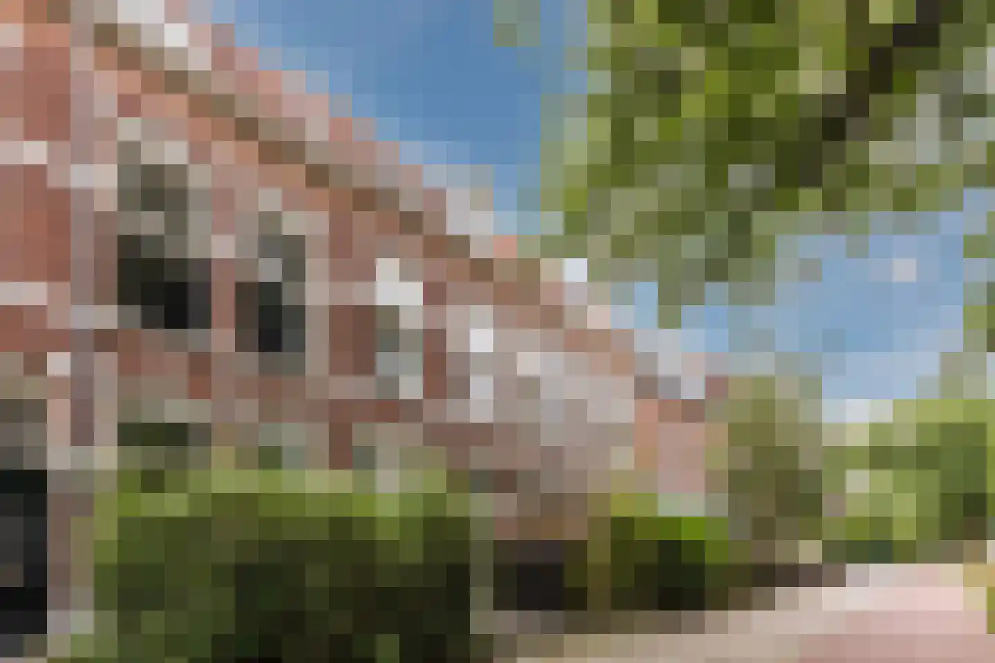 Prins Bernhardstraat 57 Nijmegen thumbnail 25