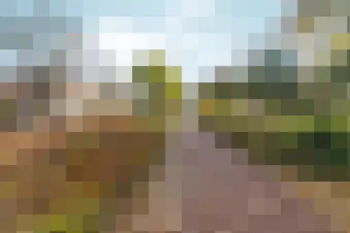 Prins Bernhardstraat 59 Nijmegen thumbnail 40