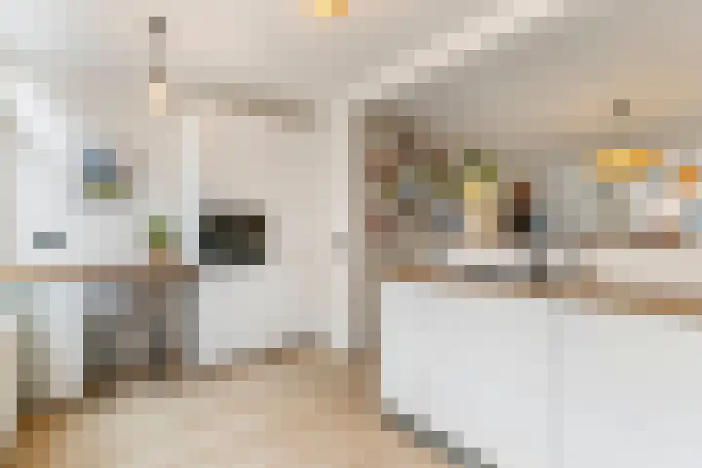 Prins Bernhardstraat 6 De Lier thumbnail 12