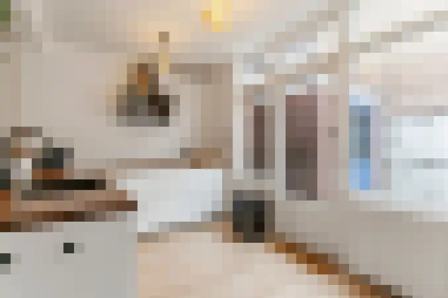 Prins Bernhardstraat 6 De Lier thumbnail 13
