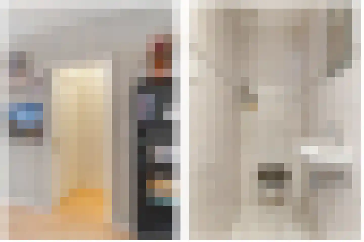 Prins Bernhardstraat 6 De Lier thumbnail 18