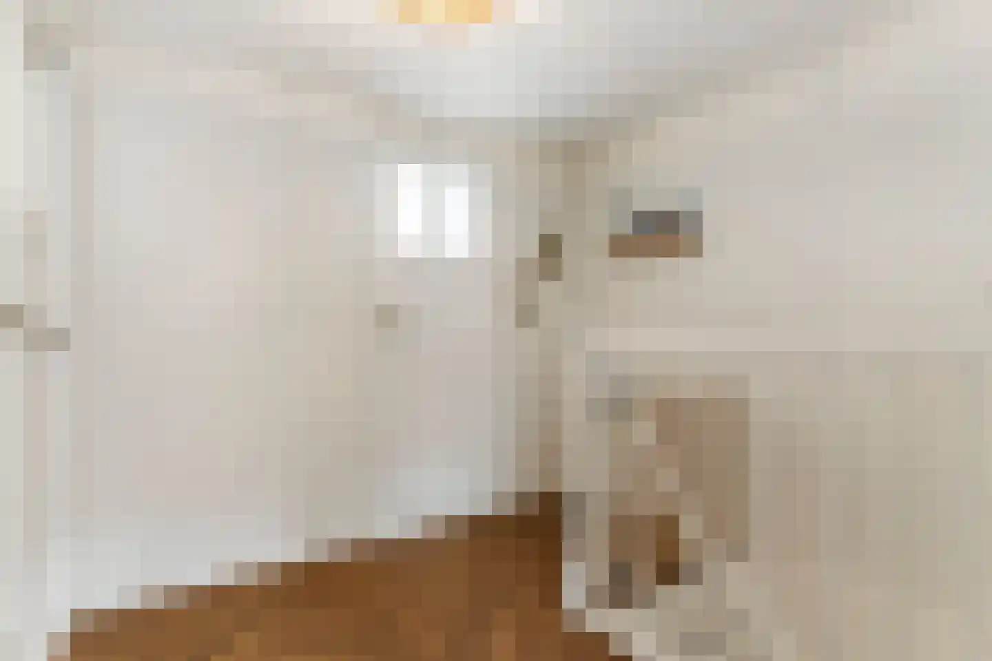 Prins Bernhardstraat 6 De Lier thumbnail 19