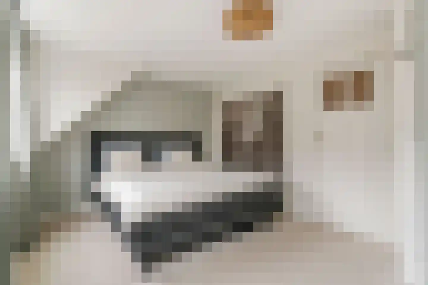 Prins Bernhardstraat 6 De Lier thumbnail 22