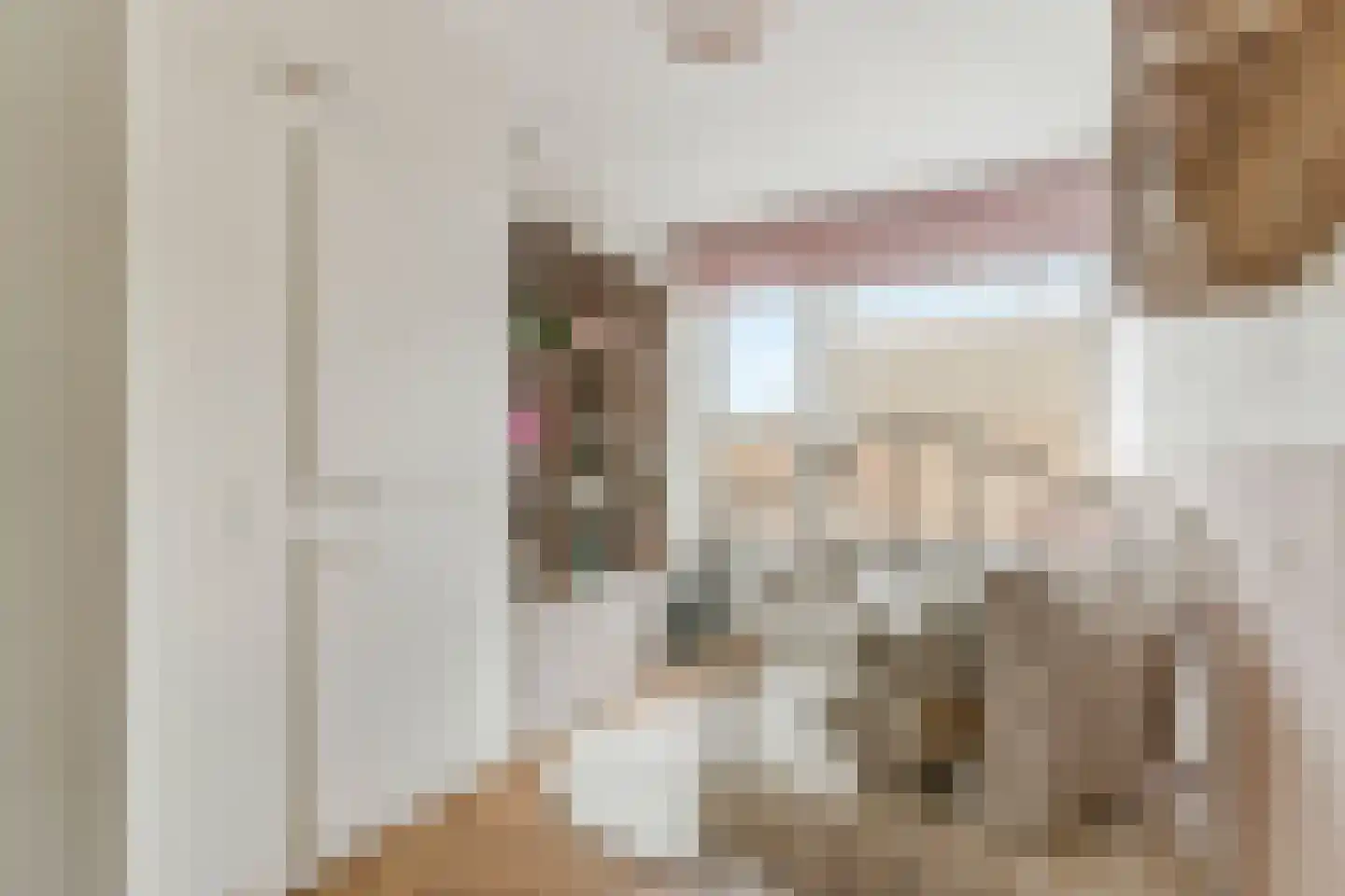 Prins Bernhardstraat 6 De Lier thumbnail 23