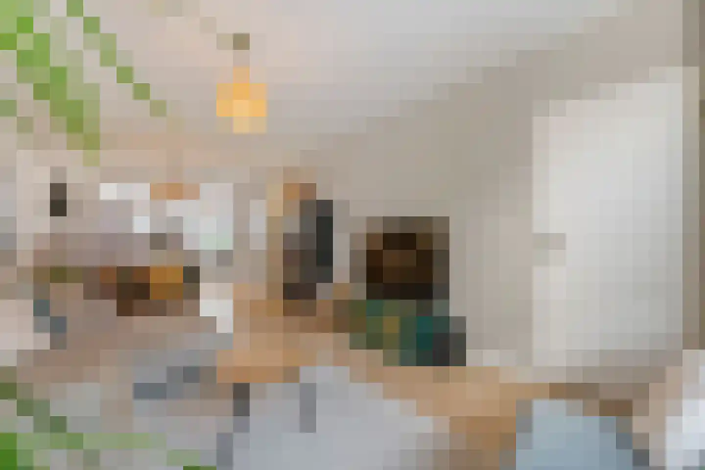 Prins Bernhardstraat 6 De Lier thumbnail 4