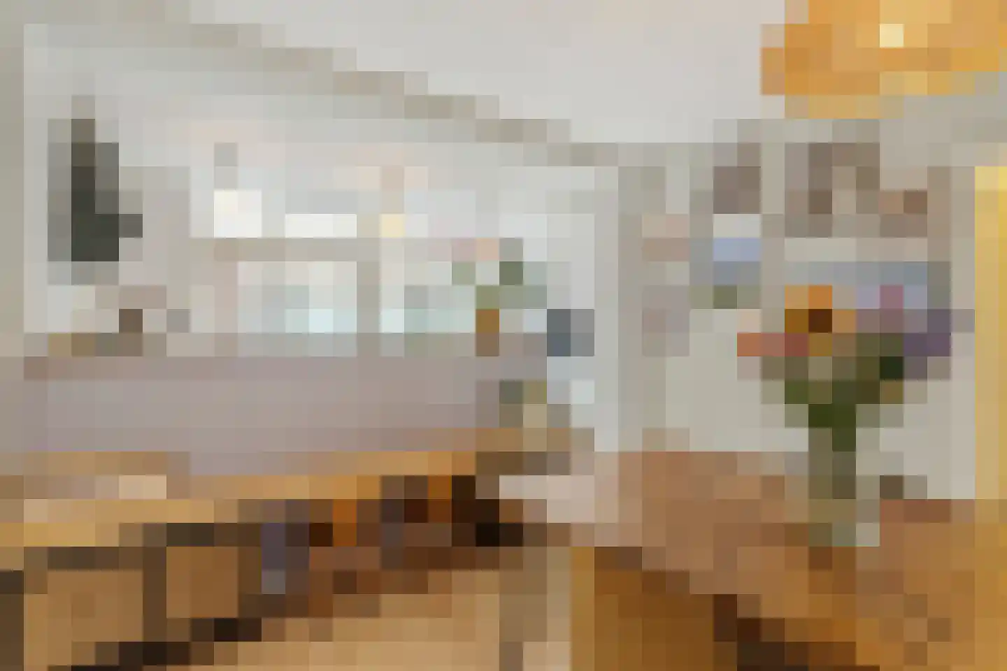 Prins Bernhardstraat 6 De Lier thumbnail 9