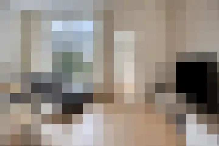 Prins Bernhardstraat 6 Kampen thumbnail 8
