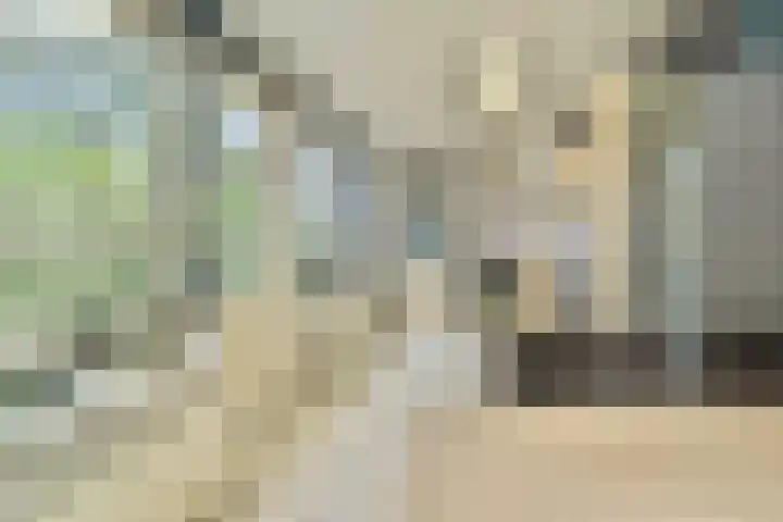 Prins Bernhardstraat 6 Nispen thumbnail 10