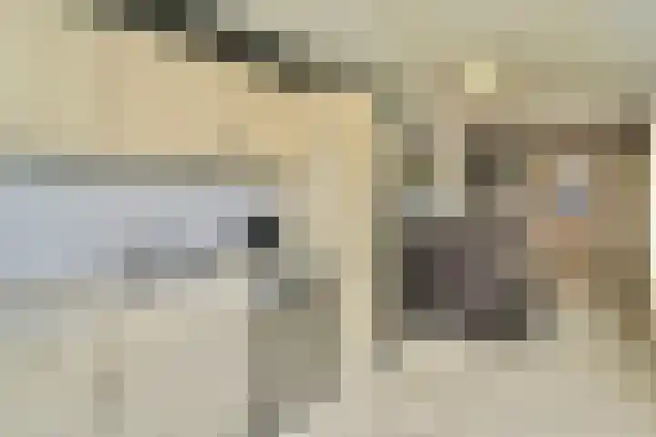 Prins Bernhardstraat 6 Nispen thumbnail 12