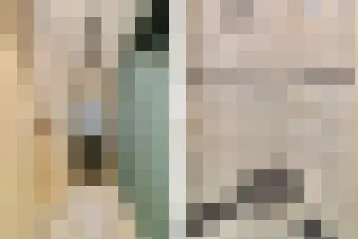 Prins Bernhardstraat 6 Nispen thumbnail 14