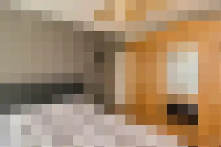 Prins Bernhardstraat 6 Nispen thumbnail 17