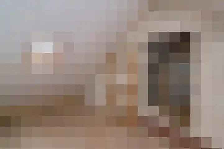 Prins Bernhardstraat 6 Nispen thumbnail 25