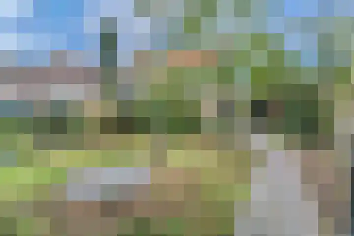 Prins Bernhardstraat 6 Nispen thumbnail 27
