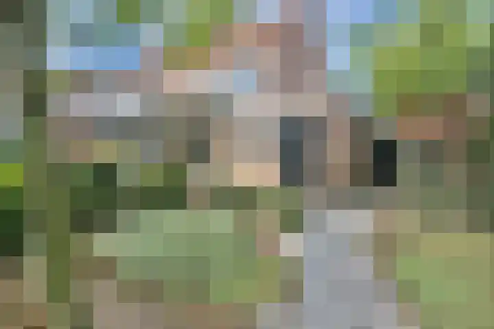 Prins Bernhardstraat 6 Nispen thumbnail 28