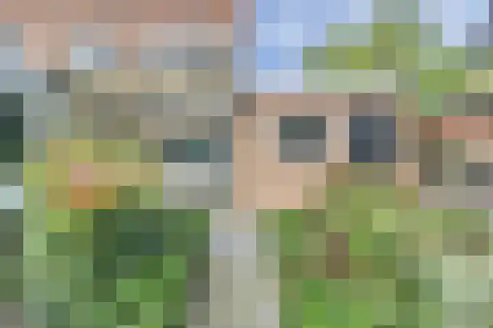 Prins Bernhardstraat 6 Nispen thumbnail 31