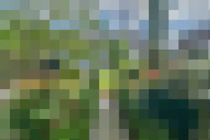 Prins Bernhardstraat 6 Nispen thumbnail 32