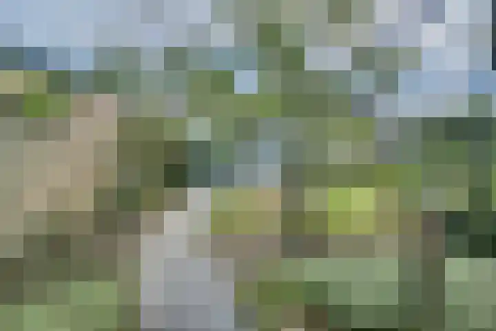 Prins Bernhardstraat 6 Nispen thumbnail 33