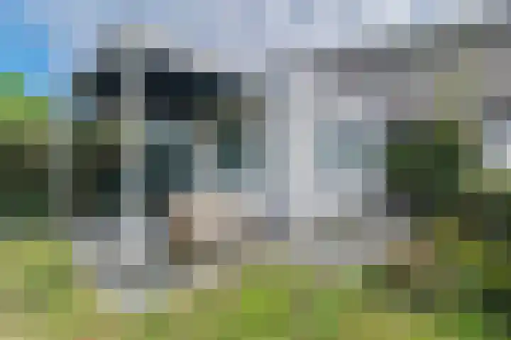 Prins Bernhardstraat 6 Nispen thumbnail 36