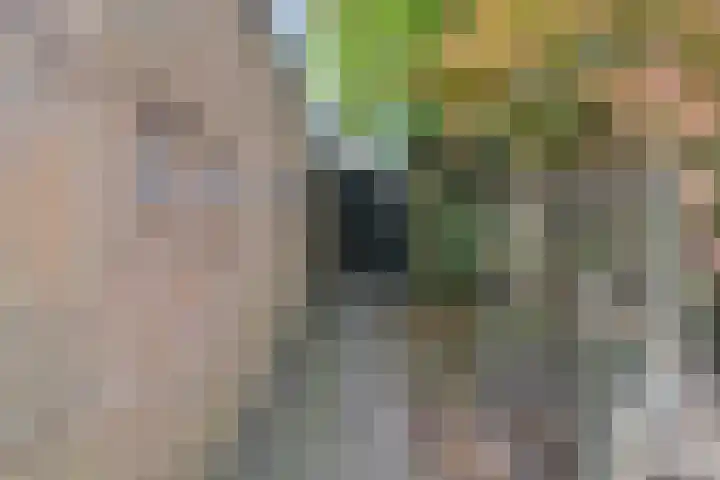 Prins Bernhardstraat 6 Nispen thumbnail 37