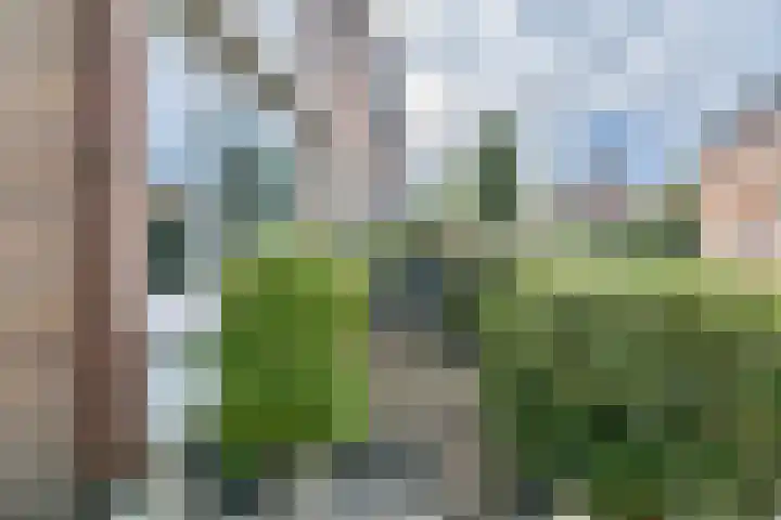 Prins Bernhardstraat 6 Nispen thumbnail 42