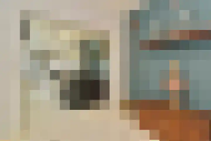 Prins Bernhardstraat 6 Nispen thumbnail 8