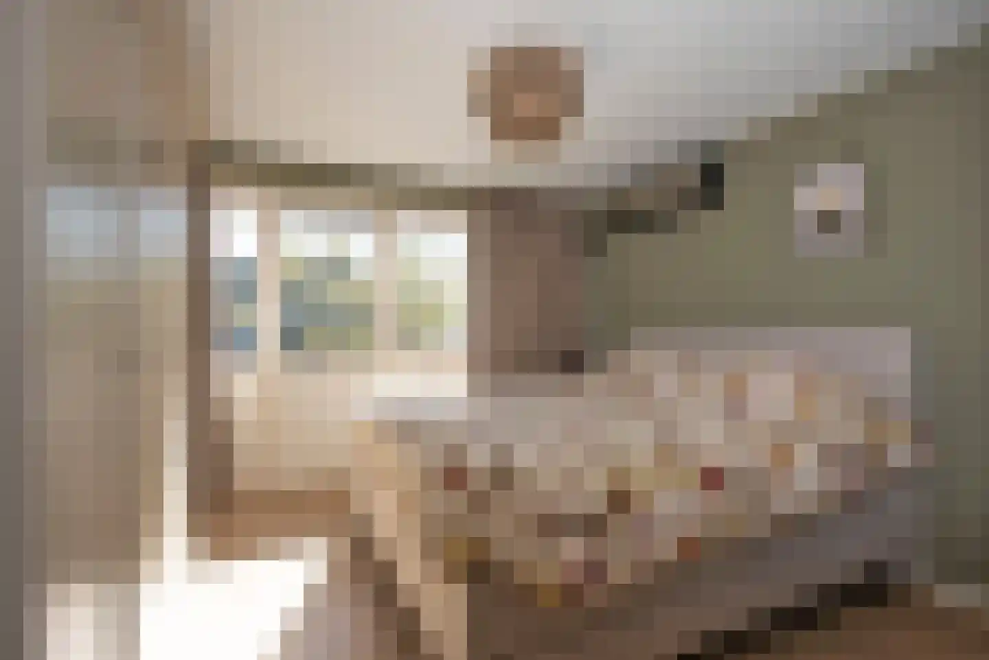 Prins Bernhardstraat 60 Rijssen thumbnail 12
