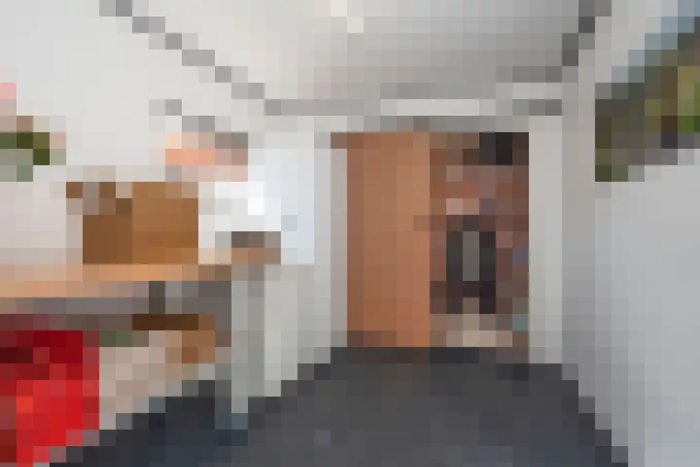 Prins Bernhardstraat 60 Rijssen thumbnail 27