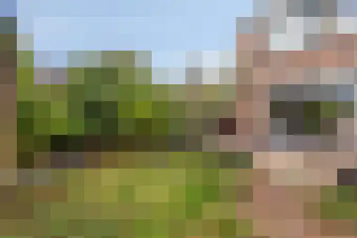 Prins Bernhardstraat 61 Koudekerk aan den Rijn thumbnail 32