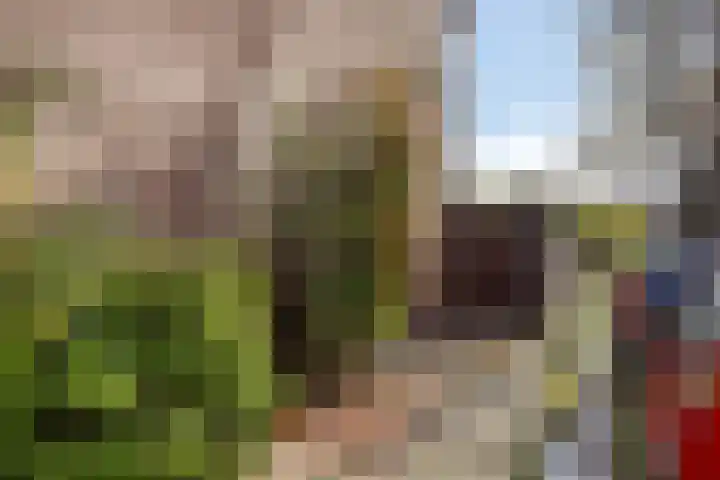Prins Bernhardstraat 61 Koudekerk aan den Rijn thumbnail 34