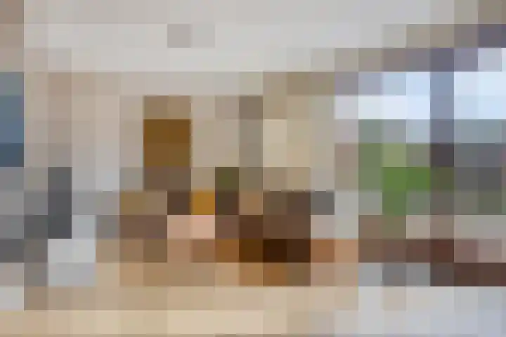 Prins Bernhardstraat 61 Koudekerk aan den Rijn thumbnail 8