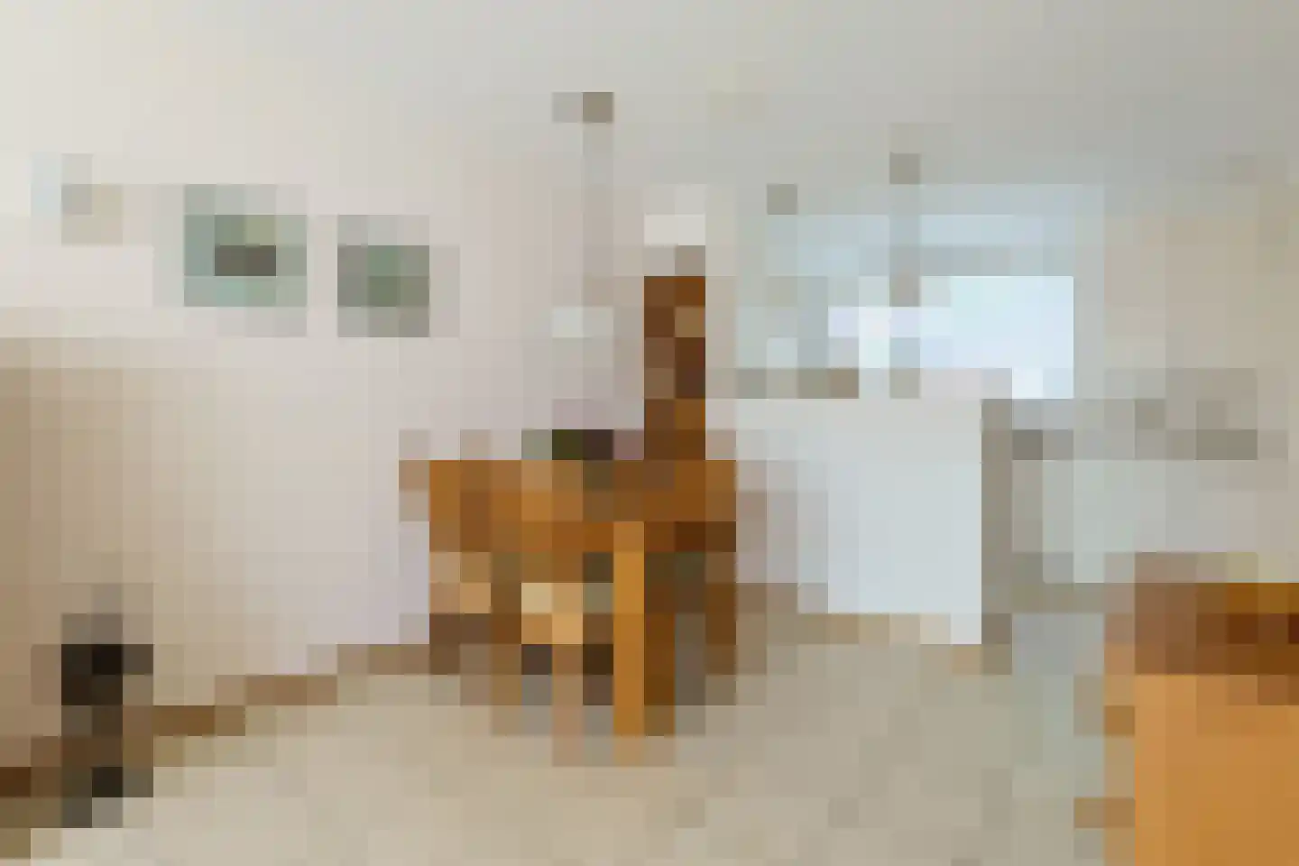 Prins Bernhardstraat 63 Koudekerk aan den Rijn thumbnail 20