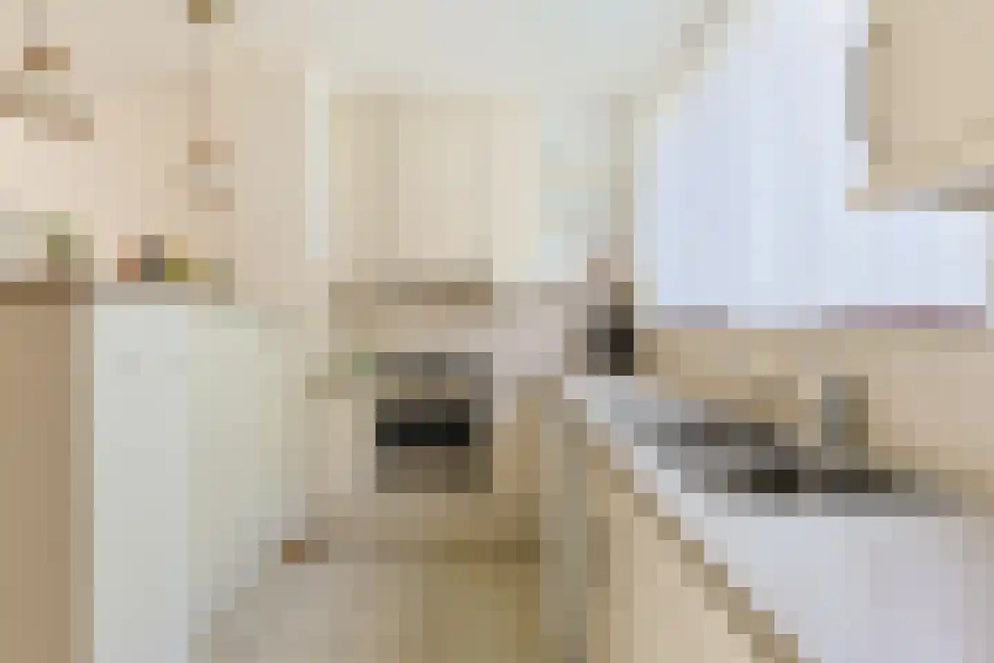 Prins Bernhardstraat 63 Koudekerk aan den Rijn thumbnail 22
