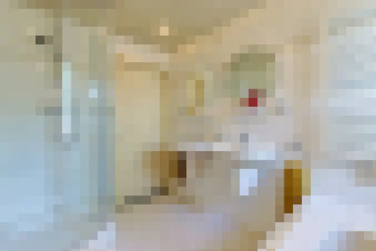 Prins Bernhardstraat 63 Koudekerk aan den Rijn thumbnail 36