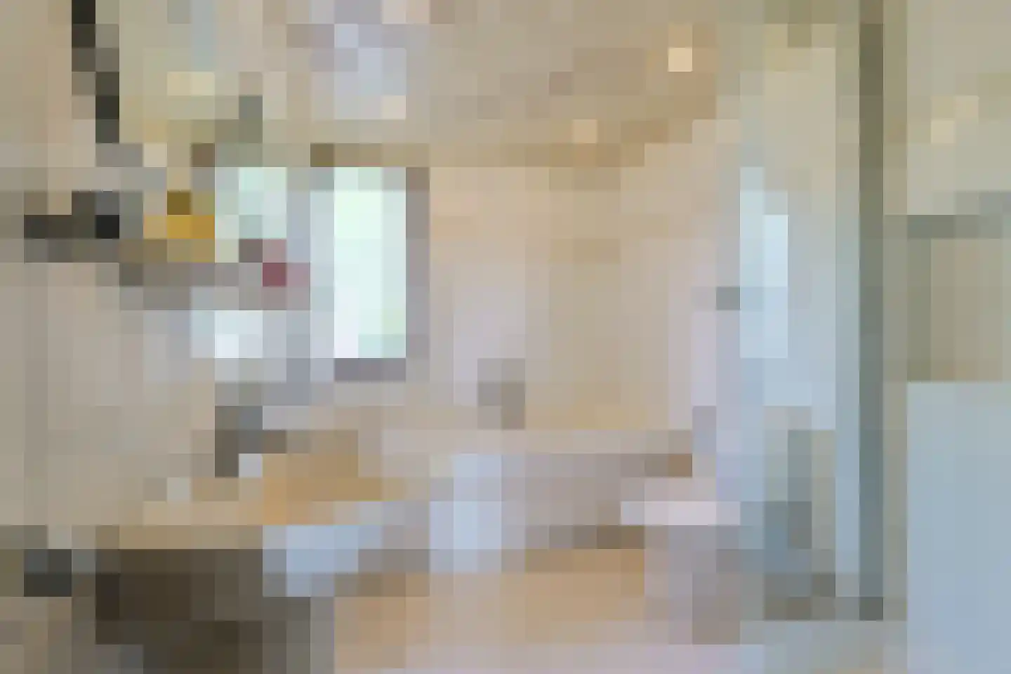 Prins Bernhardstraat 63 Koudekerk aan den Rijn thumbnail 38
